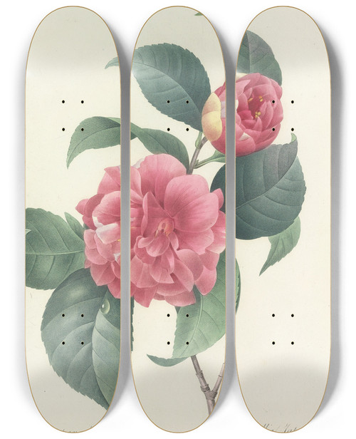 Triptych art skateboard deck of Pierre Joseph Redout Choix Des Plus Belles Fleurs Pl 018 by Pierre Joseph Redoute (1759-1840)