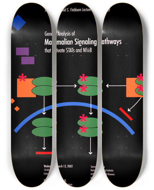 Triptych art skateboard deck of National Institutes Of Health Genetic Analysis Of Mammalian Signaling Pathways That Activate Stats And Nfkb by National Institutes Of Health (1887)