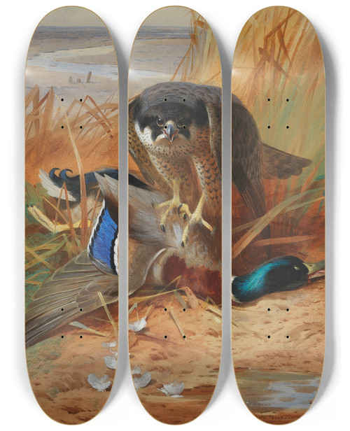 Triptych art skateboard deck of Archibald Thorburn Peregrine Falcon And Mallard Duck On A Sandbank by Archibald Thorburn (1860-1935)
