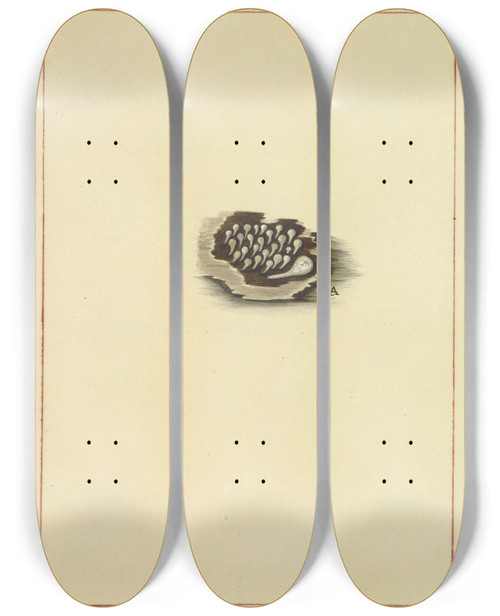 Triptych art skateboard deck of James Bolton Icons Fungorum Circa Halifax Sponte Nascentium Pl085 by James Bolton (1735-1799)