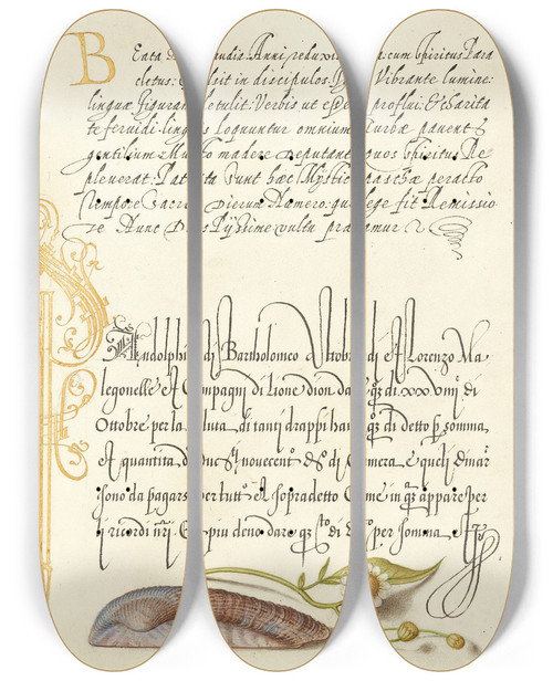 Triptych art skateboard deck of Joris Hoefnagel Noahs Ark Shell And Sneezewort by Joris Hoefnagel (1542-1600)