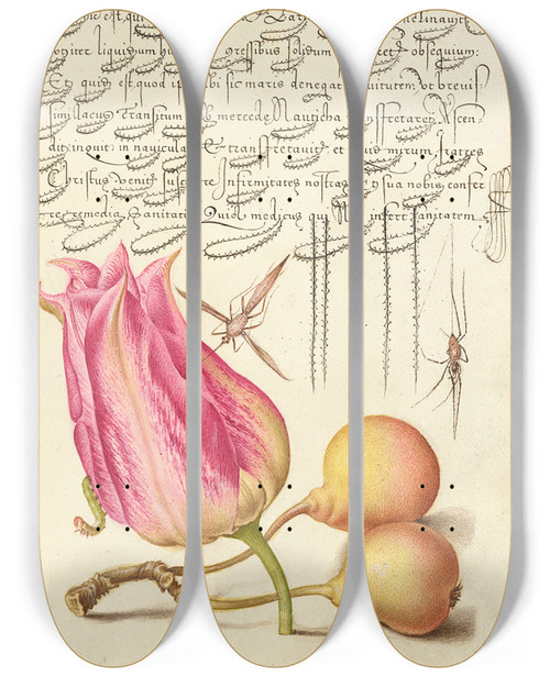 Triptych art skateboard deck of Joris Hoefnagel Imaginary Insect Tulip Spider And Common Pear by Joris Hoefnagel (1542-1600)