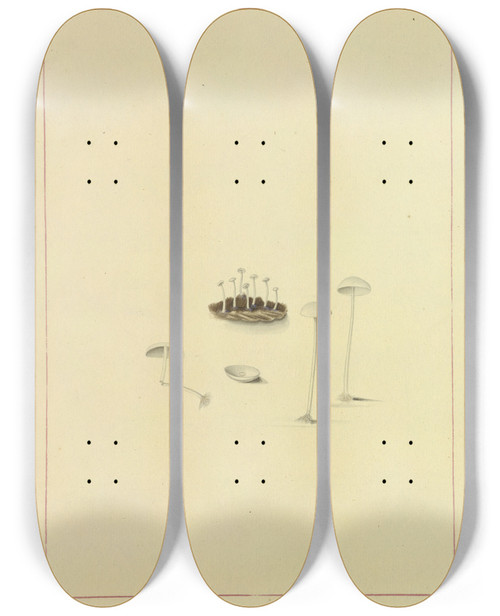 Triptych art skateboard deck of James Bolton Icons Fungorum Circa Halifax Sponte Nascentium Pl118 by James Bolton (1735-1799)