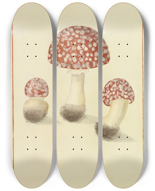 Triptych art skateboard deck of James Bolton Icons Fungorum Circa Halifax Sponte Nascentium Pl141 by James Bolton (1735-1799)