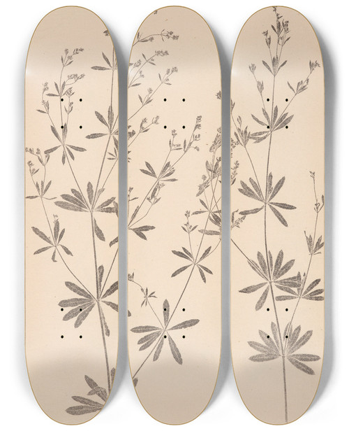 Triptych art skateboard deck of Louis Antoine Cusin Herbier De La Flore Franaise Pl0601 by Louis Antoine Cusin (1824-1901)