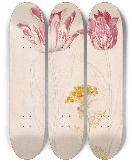 Triptych art skateboard deck of Jacob Marrel Twee Tulpen En Een Takje Met Gele Bloemen by Jacob Marrel (1613-1681)