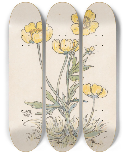 Triptych art skateboard deck of Willem Wenckebach Boterbloemen by Willem Wenckebach (1860-1937)