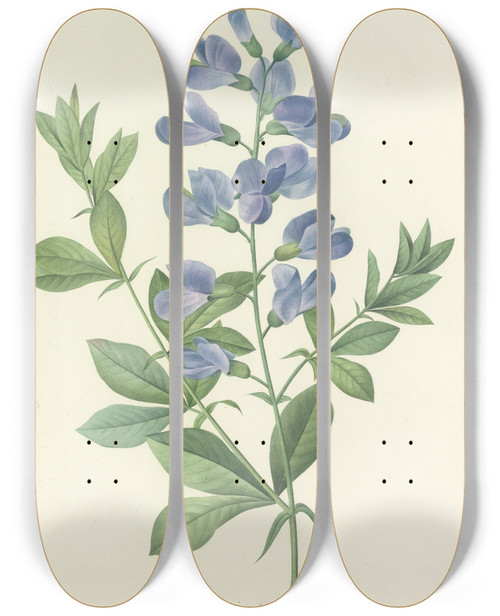 Triptych art skateboard deck of Pierre Joseph Redout Choix Des Plus Belles Fleurs Pl 077 by Pierre Joseph Redoute (1759-1840)