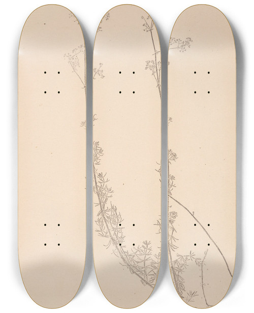 Triptych art skateboard deck of Louis Antoine Cusin Herbier De La Flore Franaise Pl0609 by Louis Antoine Cusin (1824-1901)