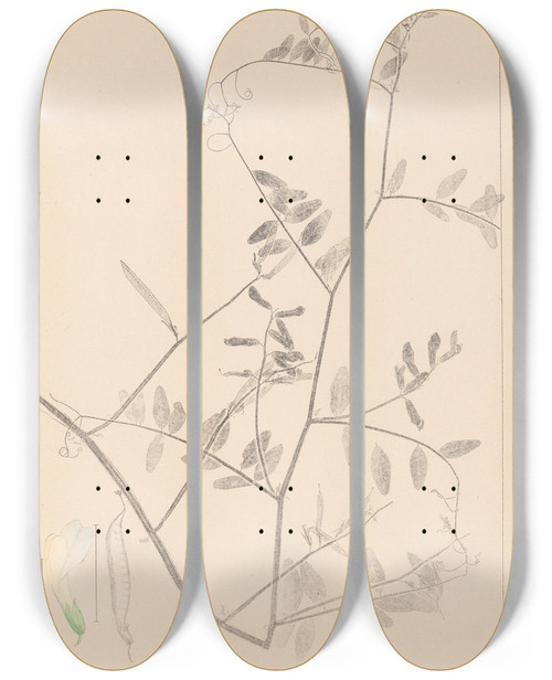 Triptych art skateboard deck of Louis Antoine Cusin Herbier De La Flore Franaise Pl0466 by Louis Antoine Cusin (1824-1901)