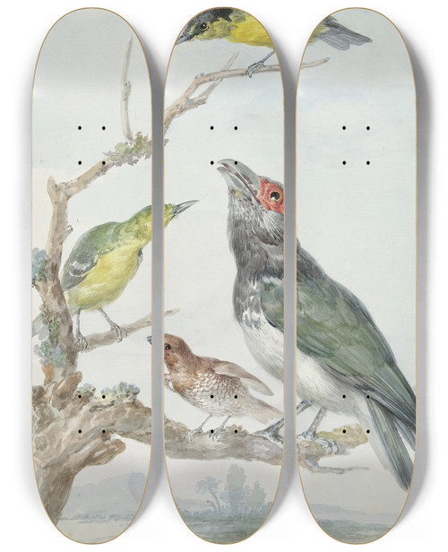 Triptych art skateboard deck of Aert Schouman Four Different Birds On A Branch by Aert Schouman (1710-1792)