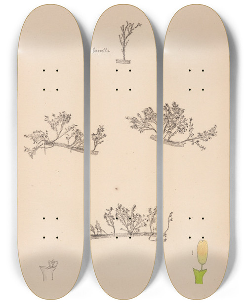 Triptych art skateboard deck of Louis Antoine Cusin Herbier De La Flore Franaise Pl0566 by Louis Antoine Cusin (1824-1901)