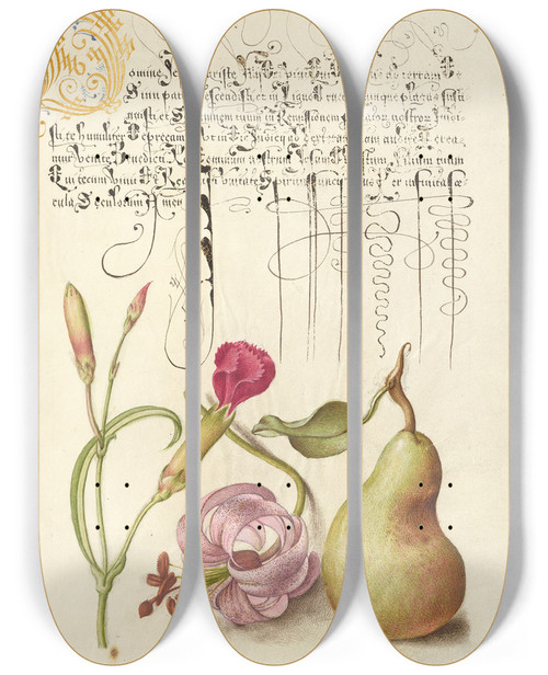 Triptych art skateboard deck of Joris Hoefnagel Carnation Martagon Lily And Pear by Joris Hoefnagel (1542-1600)