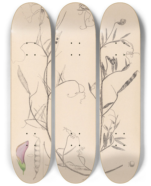 Triptych art skateboard deck of Louis Antoine Cusin Herbier De La Flore Franaise Pl0497 by Louis Antoine Cusin (1824-1901)