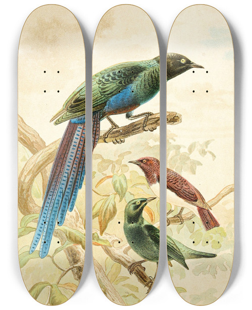 Triptych art skateboard deck of Pierre Jacques Smit Glossy Starlings by Pierre Jacques Smit (1863-1960)