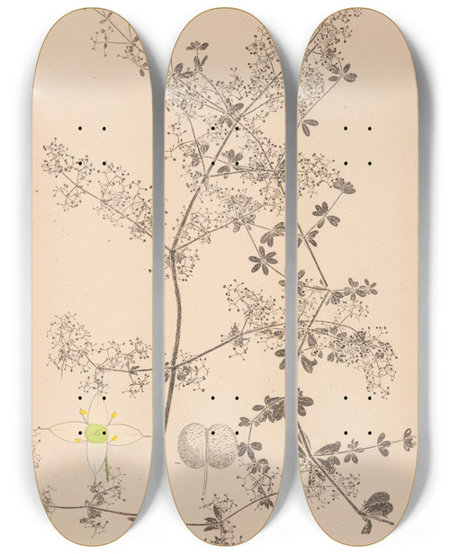 Triptych art skateboard deck of Louis Antoine Cusin Herbier De La Flore Franaise Pl0606 by Louis Antoine Cusin (1824-1901)
