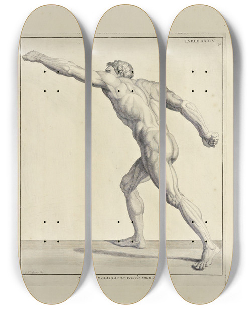 Triptych art skateboard deck of Michael Van Der Gucht Anatomy Improvd And Illustrated With Regard To The Uses Thereof In Designing Pl34 by Michael van der Gucht (1660-1725)