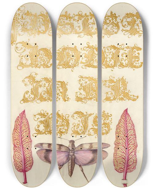 Triptych art skateboard deck of Joris Hoefnagel Chard Leaves And Redwinged Grasshopper by Joris Hoefnagel (1542-1600)