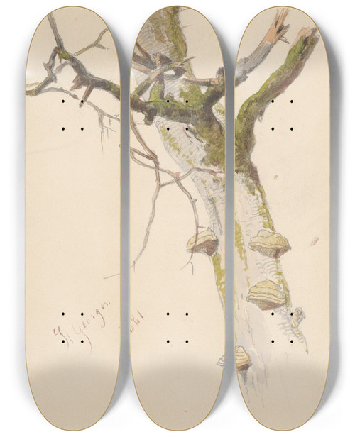Triptych art skateboard deck of Friedrich Carl Von Scheidlin Study Of Tree Trunk With Branches And Mushrooms by Friedrich Carl Von Scheidlin (1822-1913)