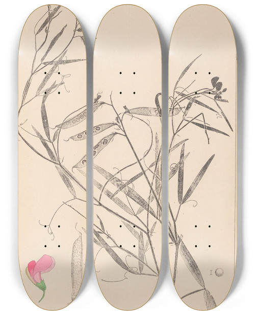 Triptych art skateboard deck of Louis Antoine Cusin Herbier De La Flore Franaise Pl0505 by Louis Antoine Cusin (1824-1901)