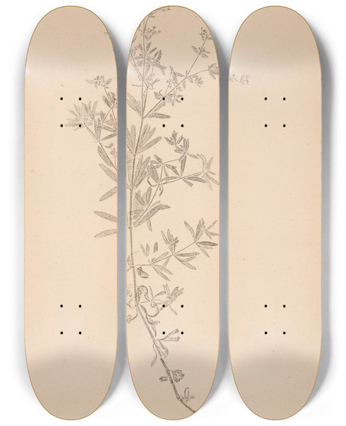Triptych art skateboard deck of Louis Antoine Cusin Herbier De La Flore Franaise Pl0603 by Louis Antoine Cusin (1824-1901)