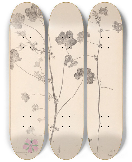 Triptych art skateboard deck of Louis Antoine Cusin Herbier De La Flore Franaise Pl0044 by Louis Antoine Cusin (1824-1901)