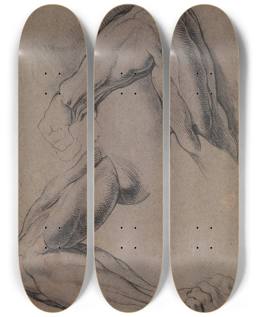 Triptych art skateboard deck of Willem Panneels Anatomisk Studie Corch To Studier Af En Mands Flede Venstre Arm by Willem Panneels (1600-1634)