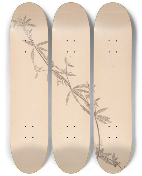 Triptych art skateboard deck of Louis Antoine Cusin Herbier De La Flore Franaise Pl0585 by Louis Antoine Cusin (1824-1901)