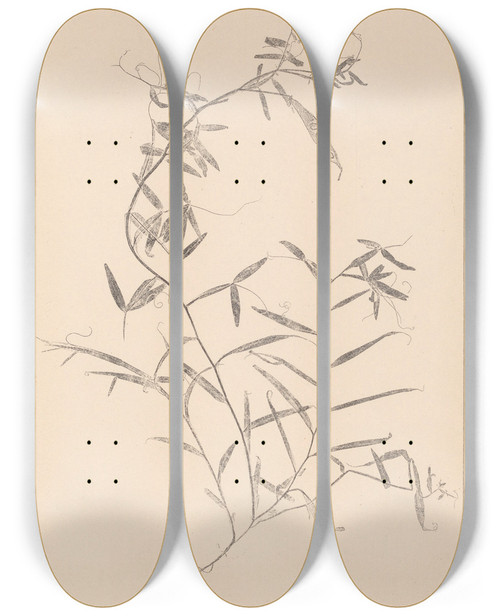 Triptych art skateboard deck of Louis Antoine Cusin Herbier De La Flore Franaise Pl0496 by Louis Antoine Cusin (1824-1901)