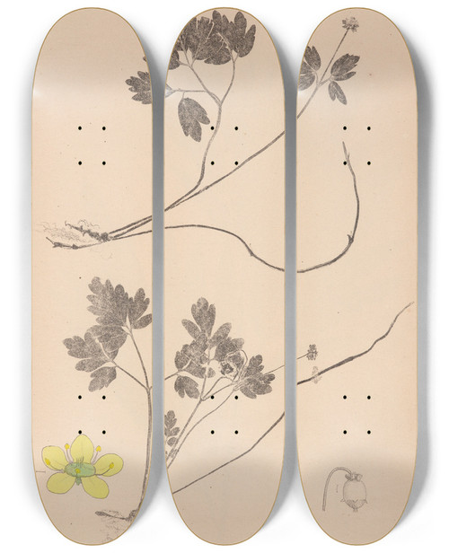 Triptych art skateboard deck of Louis Antoine Cusin Herbier De La Flore Franaise Pl0567 by Louis Antoine Cusin (1824-1901)