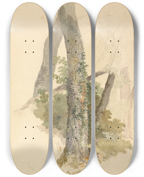 Triptych art skateboard deck of Robert Hills Tree Study With Ivy Clinging To Stump by Robert Hills (1769-1844)