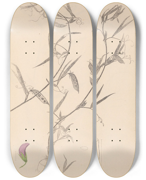 Triptych art skateboard deck of Louis Antoine Cusin Herbier De La Flore Franaise Pl0502 by Louis Antoine Cusin (1824-1901)