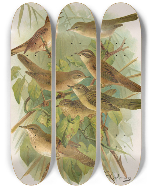 Triptych art skateboard deck of Johann Friedrich Naumann Lusciniola Fuscata Melanopogon Locustella Naevia Luscinioides Certhiola by Johann Friedrich Naumann (1780-1857)