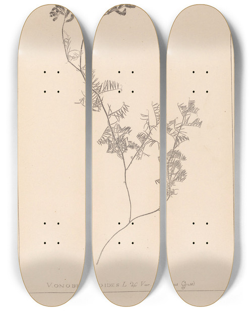 Triptych art skateboard deck of Louis Antoine Cusin Herbier De La Flore Franaise Pl0465 by Louis Antoine Cusin (1824-1901)