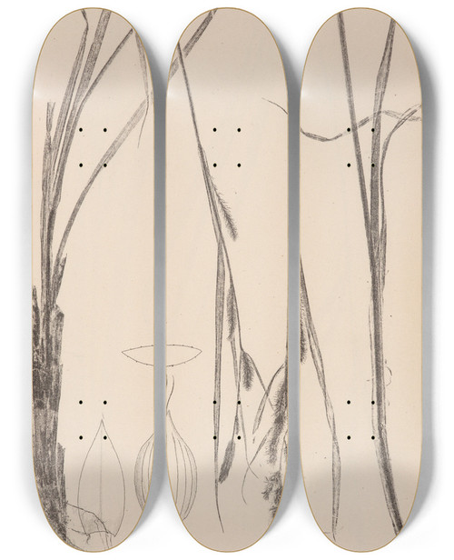 Triptych art skateboard deck of Louis Antoine Cusin Herbier De La Flore Franaise Pl1325 by Louis Antoine Cusin (1824-1901)