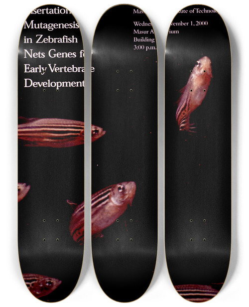 Triptych art skateboard deck of National Institutes Of Health Insertational Mutagenesis In Zebrafish Nets Genes For Early Vertebrate Development by National Institutes Of Health (1887)