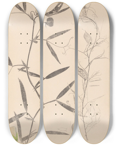 Triptych art skateboard deck of Louis Antoine Cusin Herbier De La Flore Franaise Pl0503 by Louis Antoine Cusin (1824-1901)