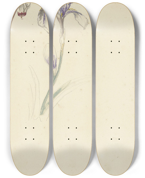 Triptych art skateboard deck of Elias Van Nijmegen Studie Van Iris En Cyclaam by Elias Van Nijmegen (1667-1755)