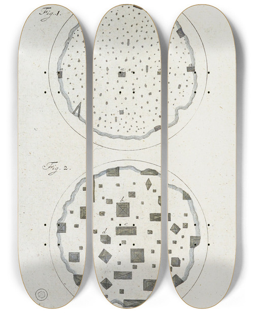 Triptych art skateboard deck of Martin Frobenius Ledermuller Amusement Microscopique Tant Pour Lesprit Que Pour Les Yeux Pl008 by Martin Frobenius Ledermu%Cc%88Ller (1719-1769)
