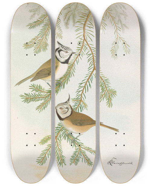 Triptych art skateboard deck of Johann Friedrich Naumann Parus Cristatus by Johann Friedrich Naumann (1780-1857)