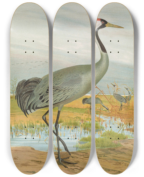 Triptych art skateboard deck of Johann Friedrich Naumann Grus Grus by Johann Friedrich Naumann (1780-1857)