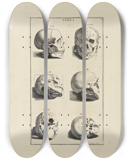Triptych art skateboard deck of Michael Van Der Gucht Anatomy Improvd And Illustrated With Regard To The Uses Thereof In Designing Pl01 by Michael van der Gucht (1660-1725)