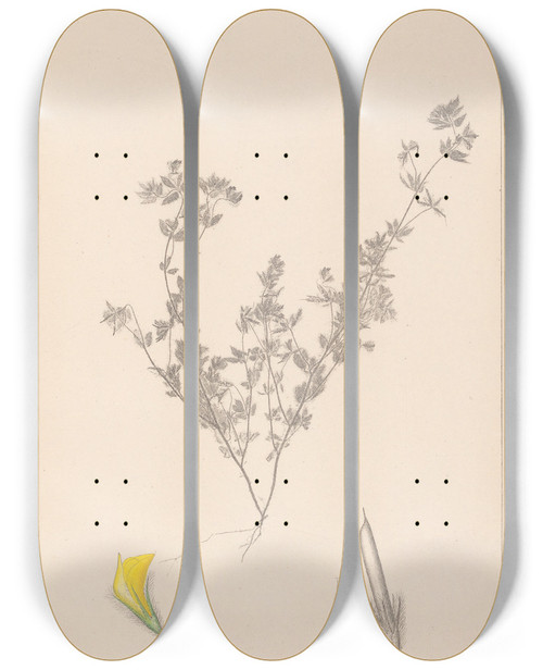 Triptych art skateboard deck of Louis Antoine Cusin Herbier De La Flore Franaise Pl0387 by Louis Antoine Cusin (1824-1901)