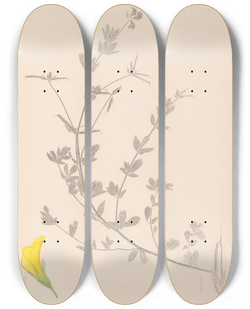 Triptych art skateboard deck of Louis Antoine Cusin Herbier De La Flore Franaise Pl0389 by Louis Antoine Cusin (1824-1901)