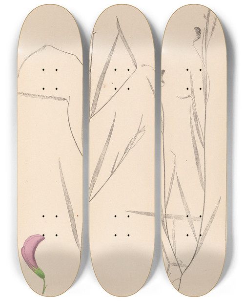 Triptych art skateboard deck of Louis Antoine Cusin Herbier De La Flore Franaise Pl0500 by Louis Antoine Cusin (1824-1901)