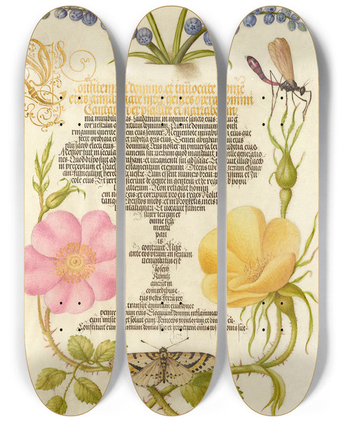 Triptych art skateboard deck of Joris Hoefnagel Grape Hyacinth Wasplike Insect Eglantine Austrian Brier And Magpie Moth by Joris Hoefnagel (1542-1600)