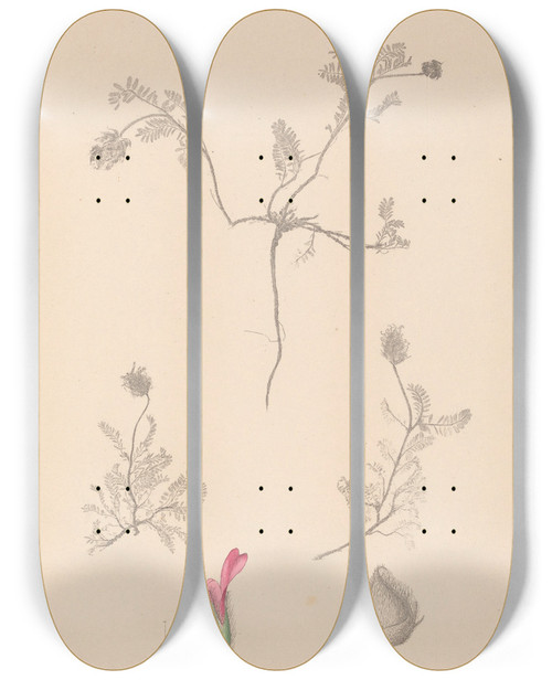 Triptych art skateboard deck of Louis Antoine Cusin Herbier De La Flore Franaise Pl0410 by Louis Antoine Cusin (1824-1901)