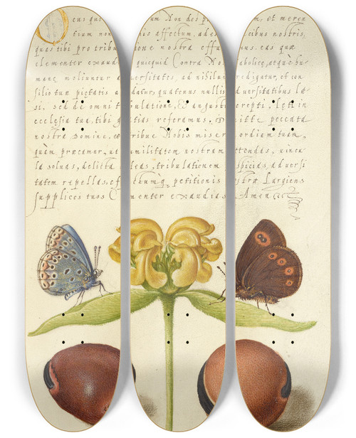 Triptych art skateboard deck of Joris Hoefnagel Moths Jerusalem Sage And Beans by Joris Hoefnagel (1542-1600)