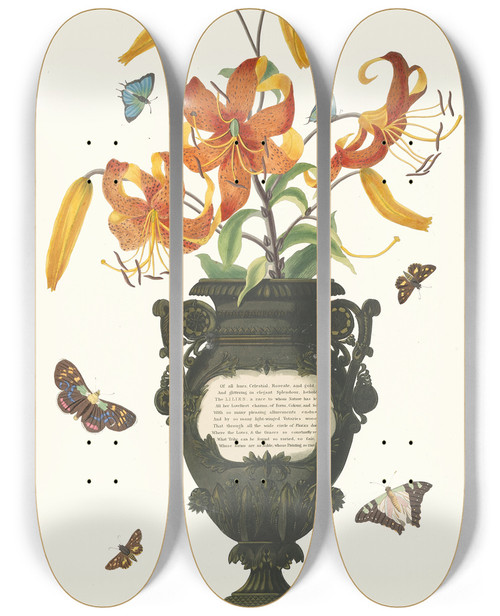 Triptych art skateboard deck of Priscilla Susan Bury Lilium Tigrinum by Priscilla Susan Bury (1799-1872)