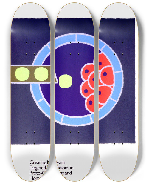 Triptych art skateboard deck of National Institutes Of Health Creating Mice With Targeted Disruptions In Protooncogenes And Homeobox Genes by National Institutes Of Health (1887)